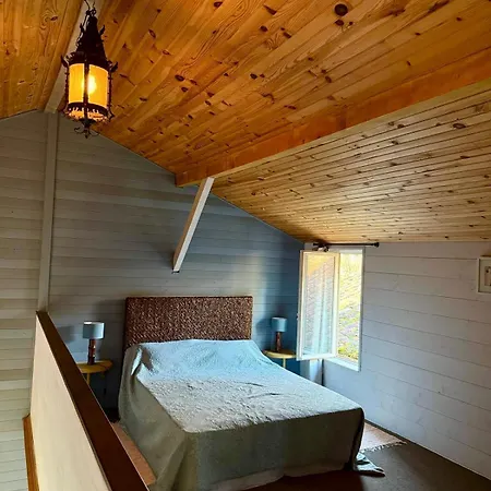 Domaine De La Hargue Bed & Breakfast Manciet